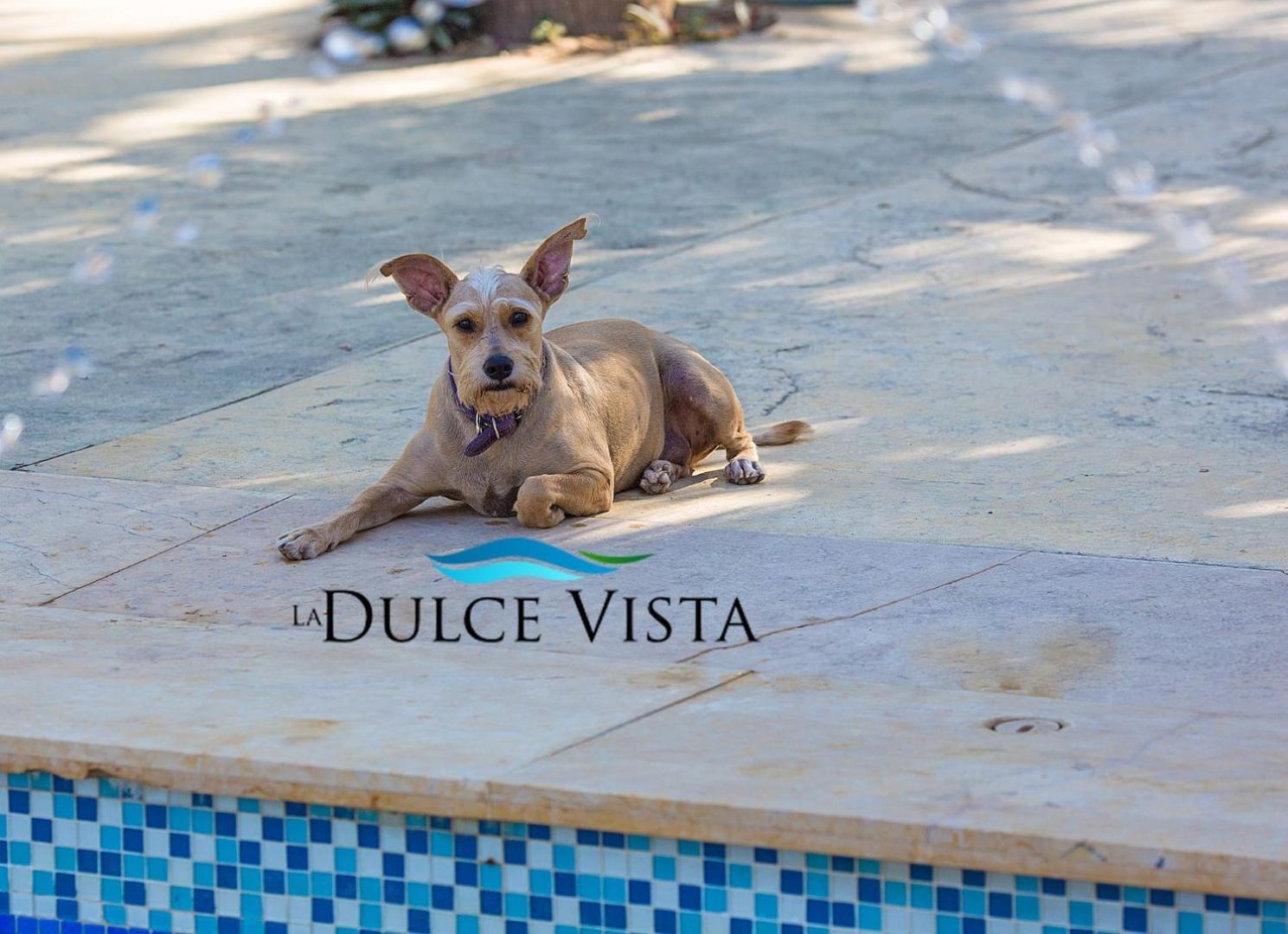 La Dulce Vista Hotel & Villas - Sierra Madre Πουέρτο Βαγιάρτα Εξωτερικό φωτογραφία