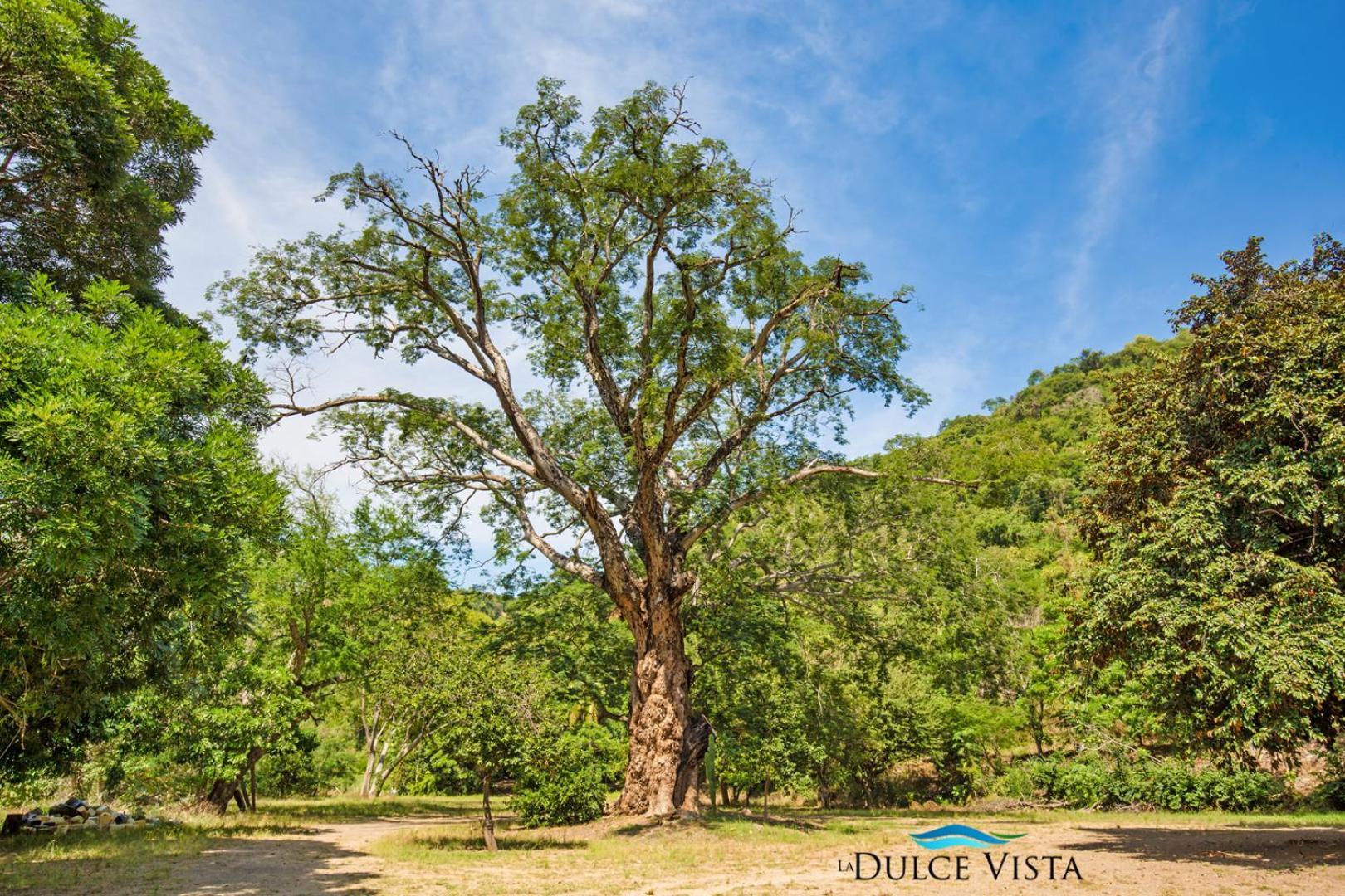 La Dulce Vista Hotel & Villas - Sierra Madre Πουέρτο Βαγιάρτα Εξωτερικό φωτογραφία